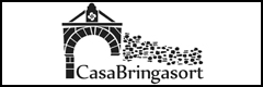 Banner de Benasque