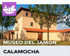 Banner de Calamocha
