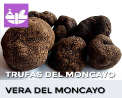 Banner de Vera de Moncayo